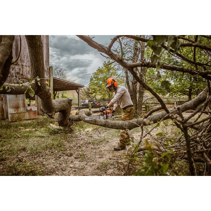 190ca136-f51a-4eeb-9282-08dd96d0d69d